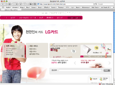 LG 카드 사이트를 보여주는 브라우져 창의 모습. 모두 플래쉬로 덧칠되어 있음.